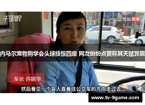 内马尔宠物狗学会头球技惊四座 网友纷纷点赞称其天赋异禀 内马尔宠物狗学会头球技惊四座 网友纷纷点赞称其天赋异禀