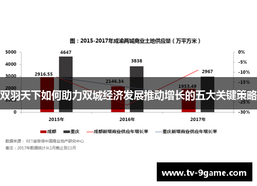 双羽天下如何助力双城经济发展推动增长的五大关键策略 双羽天下如何助力双城经济发展推动增长的五大关键策略