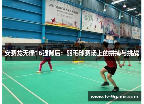 安赛龙无缘16强背后:羽毛球赛场上的拼搏与挑战 安赛龙无缘16强背后:羽毛球赛场上的拼搏与挑战