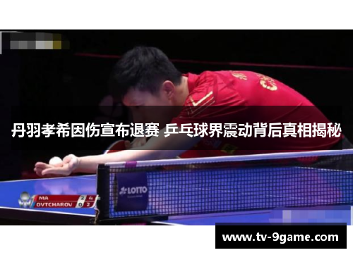 丹羽孝希因伤宣布退赛 乒乓球界震动背后真相揭秘 丹羽孝希因伤宣布退赛 乒乓球界震动背后真相揭秘