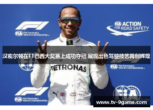 汉密尔顿在F1巴西大奖赛上成功夺冠 展现出色驾驶技艺再创辉煌